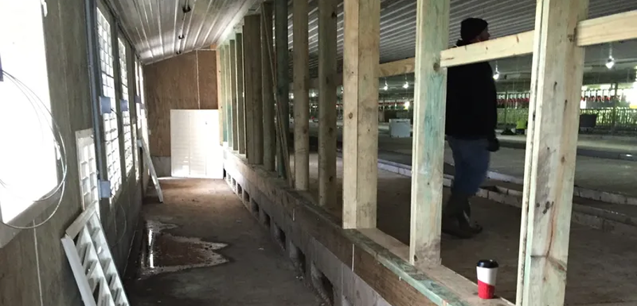 Interior of a fan bank chamber under construction, exhaust fans in the exterior wall at left and louver framing into the animal space at right